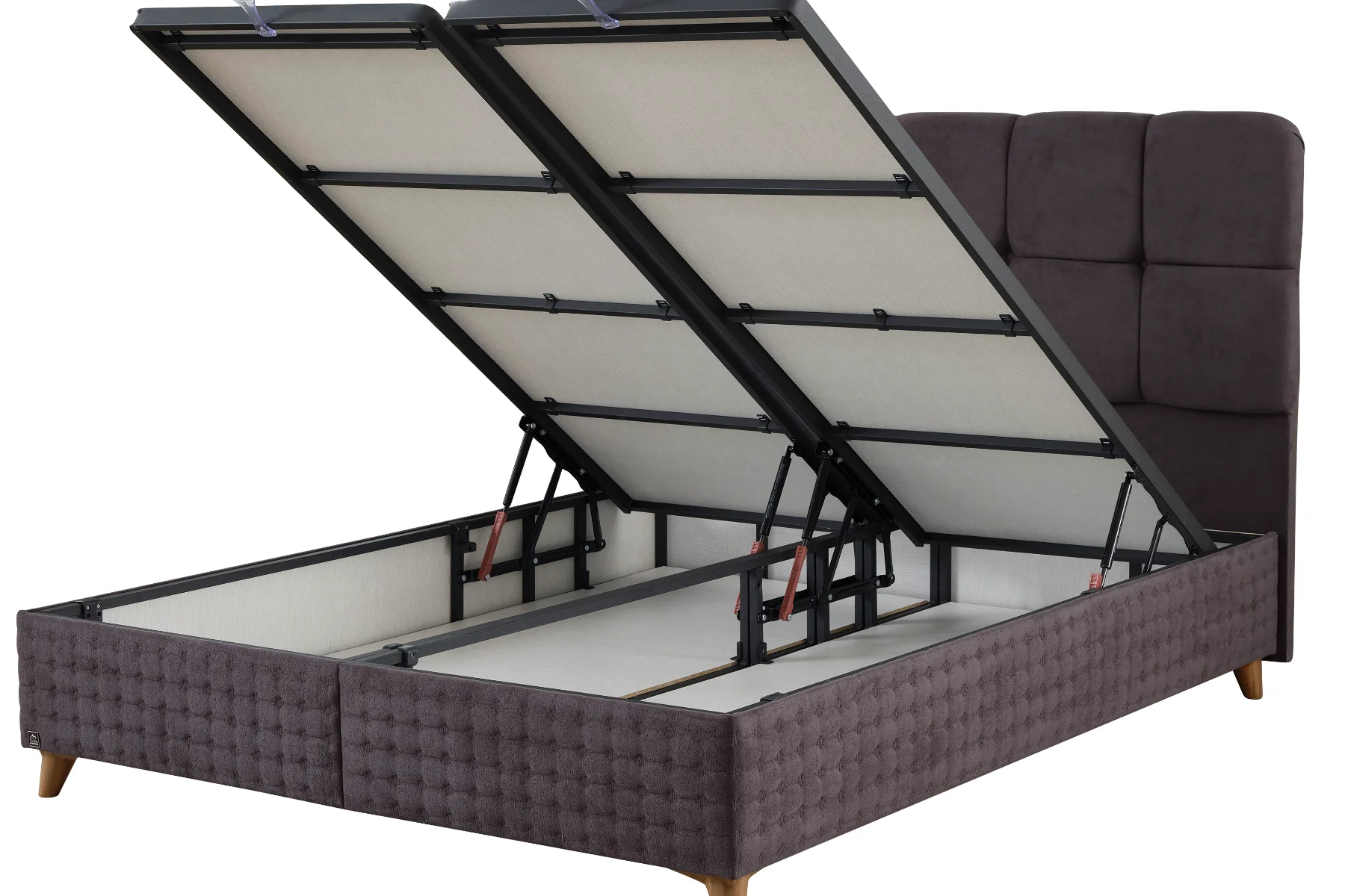 BEGONYA ANTASİT  (1).webp