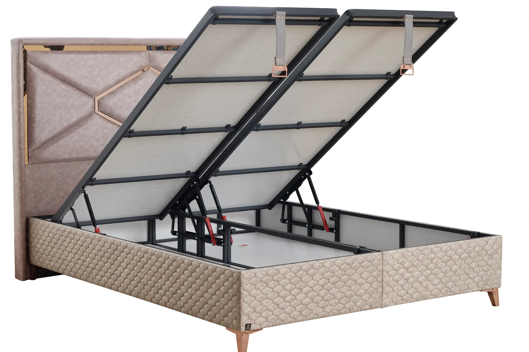 IMMUNE DEFENSE  (22) kopya.webp