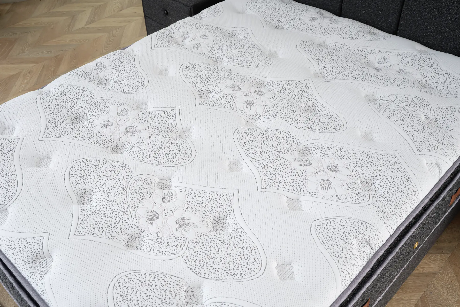 BEGONYA  ANTRASİT  (13) kopya.webp