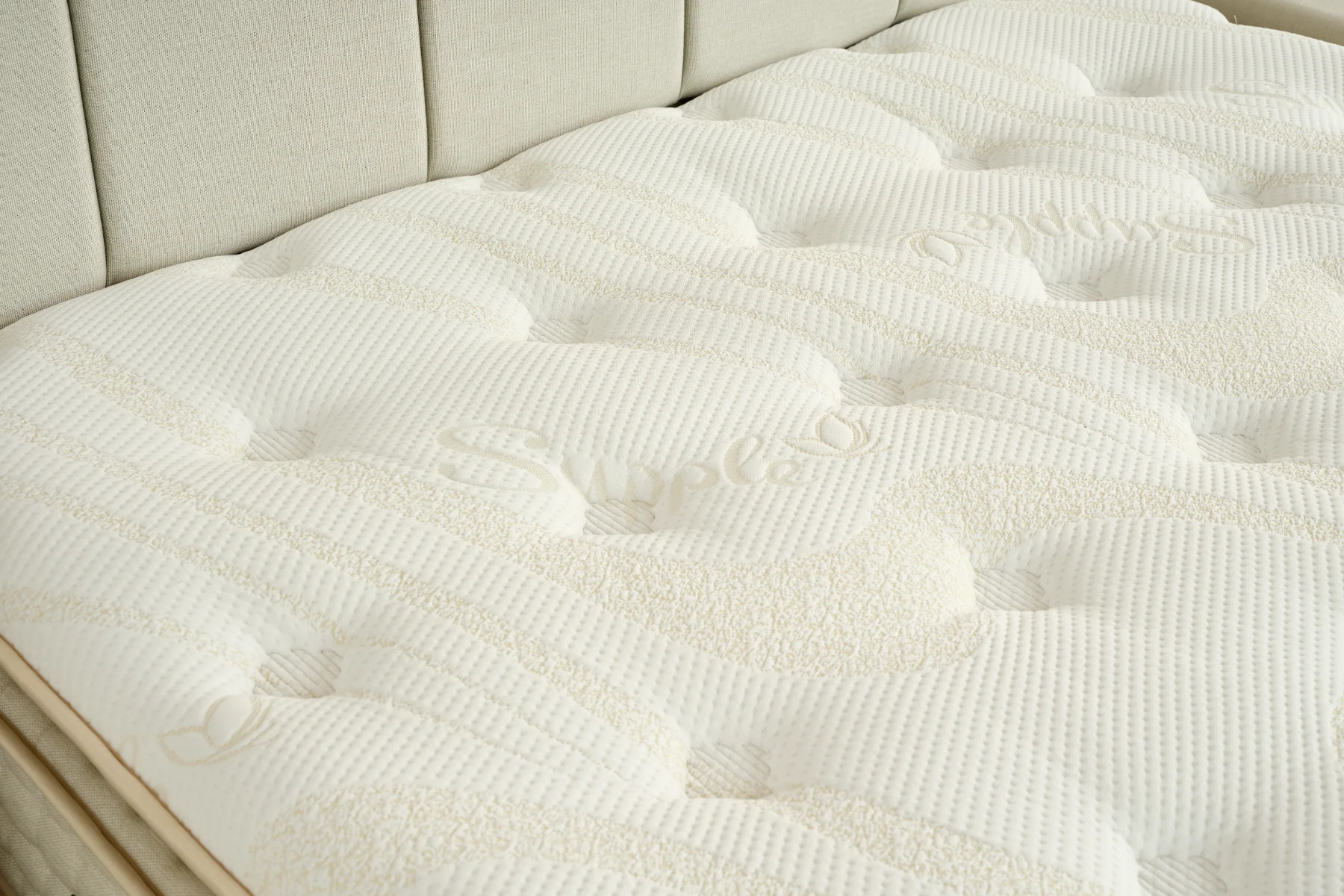 BEGONYA KREM  (8) kopya.webp